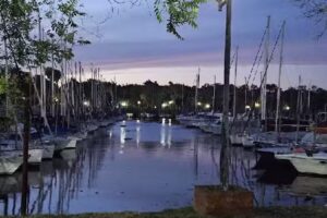 Restaurante Marina Punta Chica