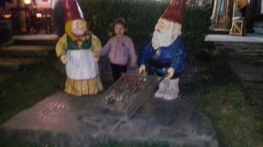 Resto Bar Aires del Este