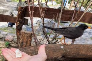 Rinc&oacute;n del Para&iacute;so