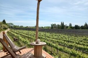 Rinc&oacute;n Gieco Vistalba De 11hs a 18hs cierre de cocina a las 17hs