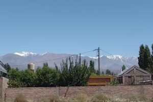 Sabores De Mi Tierra