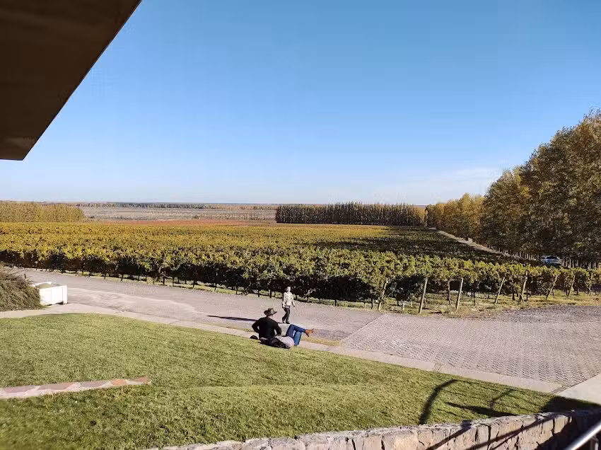 Saurus Restaurante En Bodega Familia Schroeder