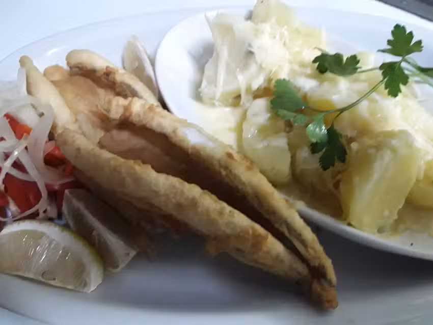 SnackBar La Terminal