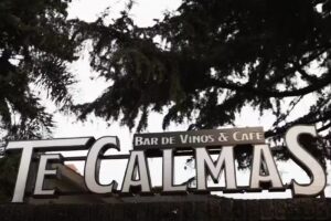 Te Calmas Bar de Vinos Cafe