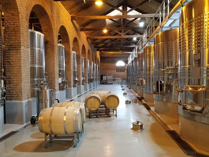 Terrazas de los Andes