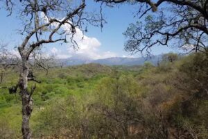 The Gaucho Experience