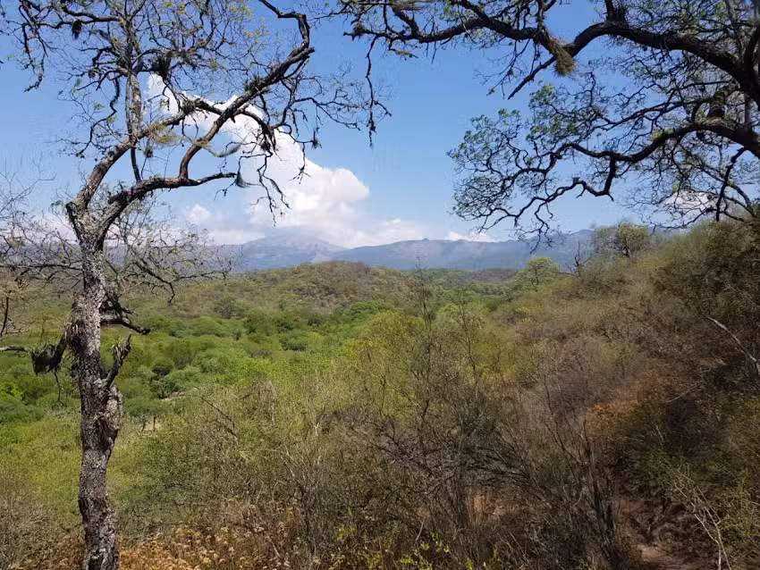 The Gaucho Experience