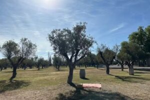 Trapiche Estaci&oacute;n 83