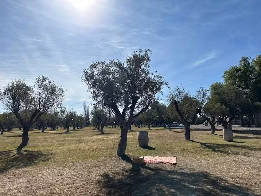 Trapiche Estaci&oacute;n 83