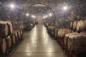 Vi&ntilde;as en Flor Bodega